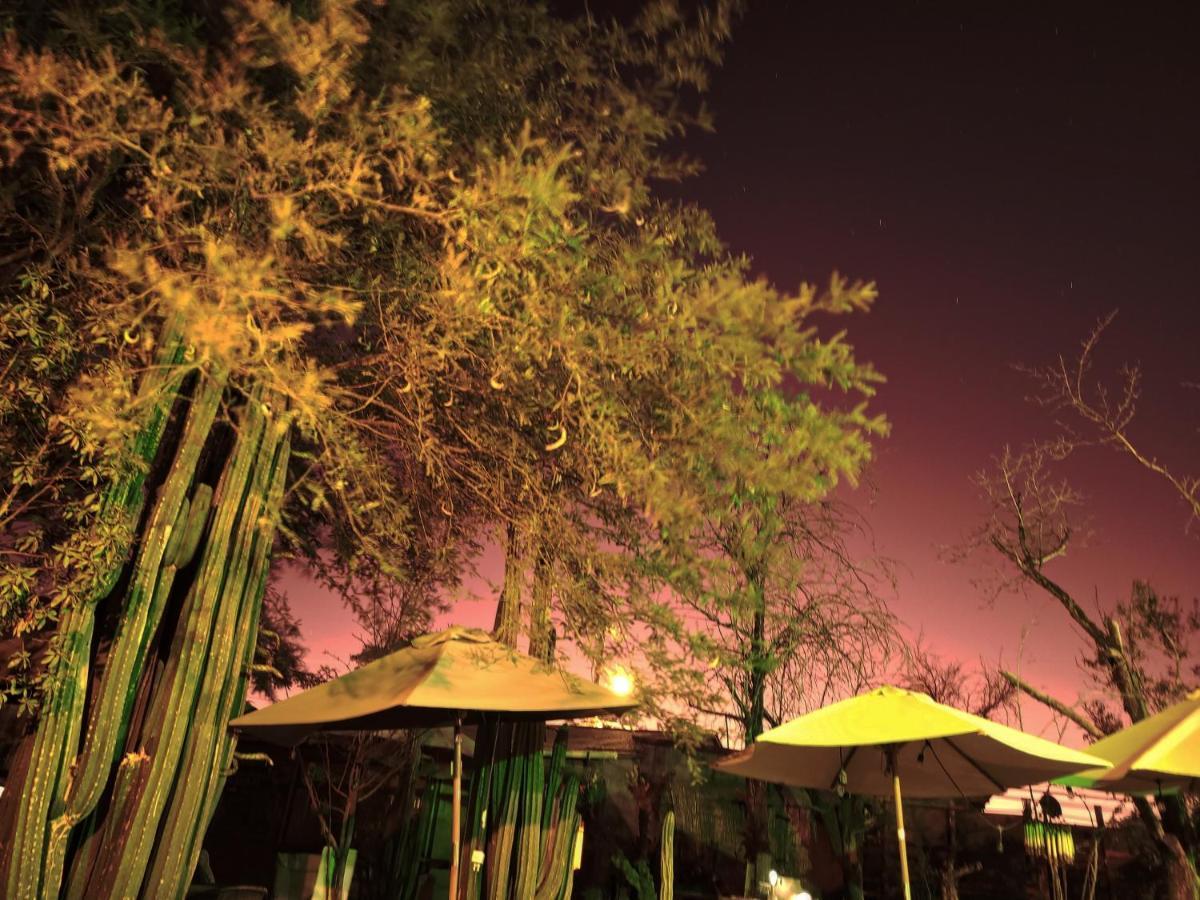 Hostal Katarpe 산 페드로 데 아타카마 외부 사진