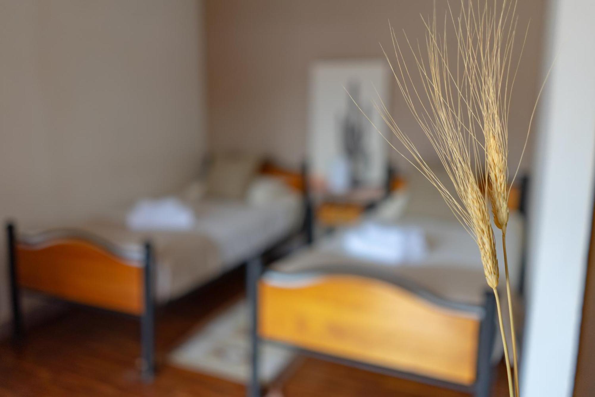 Hostal Katarpe 산 페드로 데 아타카마 외부 사진